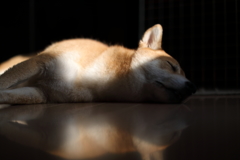 陽のあたる時間2