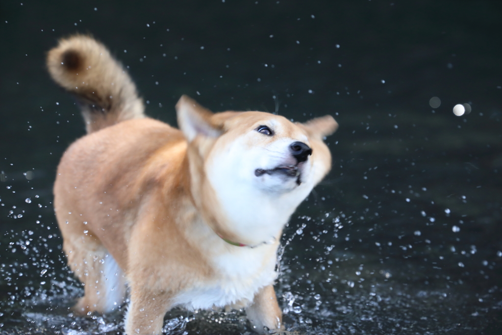 心霊写真ではありません…