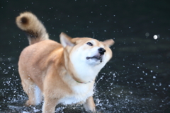 心霊写真ではありません…