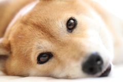 休息