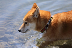 クールダウン