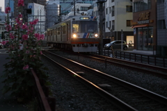 夕暮れの電車とタチアオイ