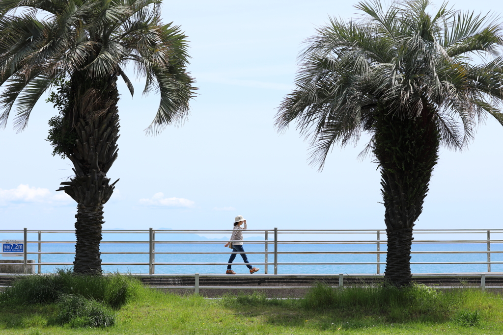 初夏を散歩