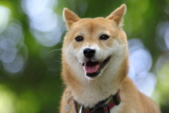 ホワイトバランス2