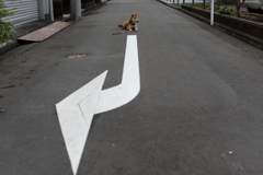 右じゃなく左を見る