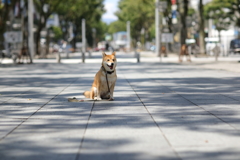 繁華街で3