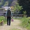 のどかな午後2