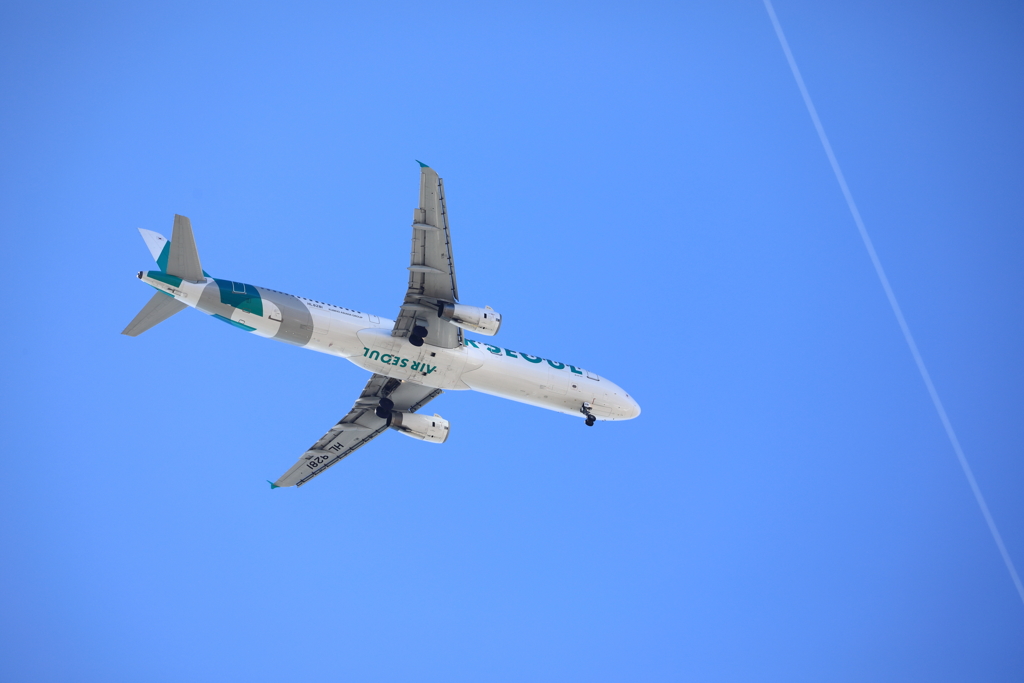飛行機