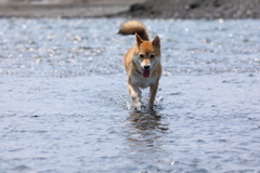 川遊び