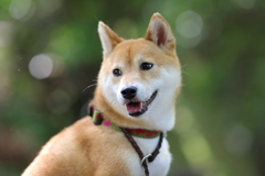 楽しい表情3