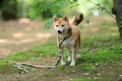 ホワイトバランス2
