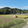 実りの秋