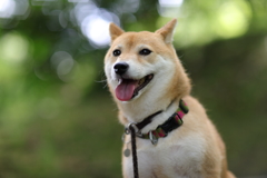 いつもの場所で2