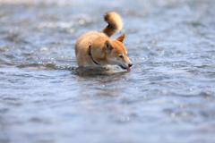 川の流れ4