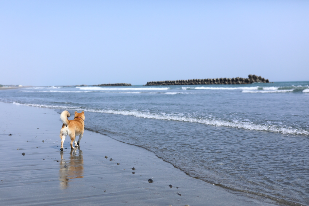 浜辺で