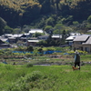 のどかな午後1