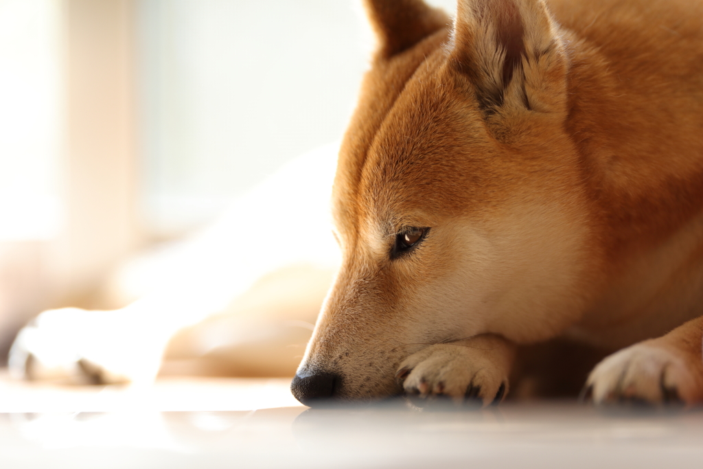 何思ふ