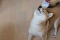 残念!!-3-