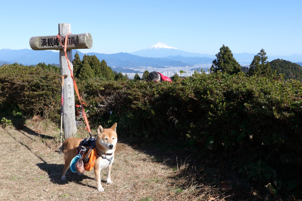 満観峰山頂