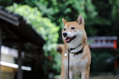 いつもの場所で1