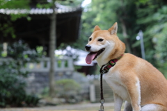 暑さの中で2