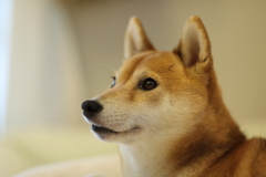 アンダー