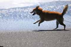 海だー！楽しー！