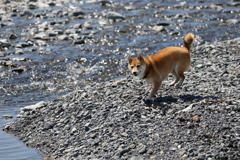 あらよっと！