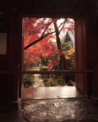 京都-奈良～紅葉の出口～