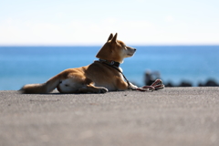 海風を感じて