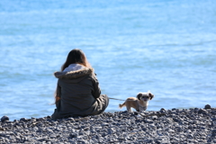 犬は見ていた