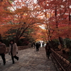 京都-奈良～紅葉の階段～
