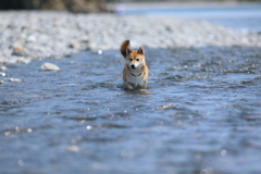 川を散策1
