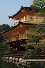 京都-奈良～金閣寺～