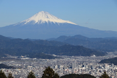 富士山