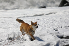 大波だー！脱出！