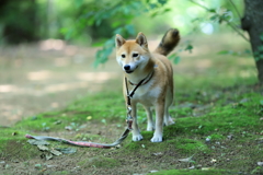 ホワイトバランス1
