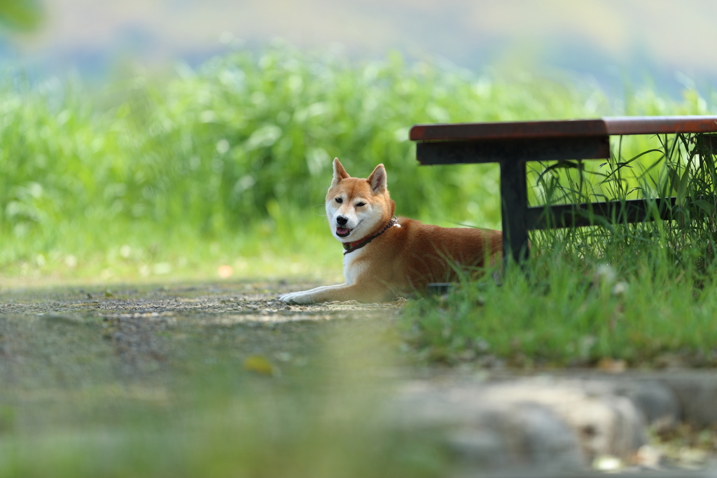 一休み