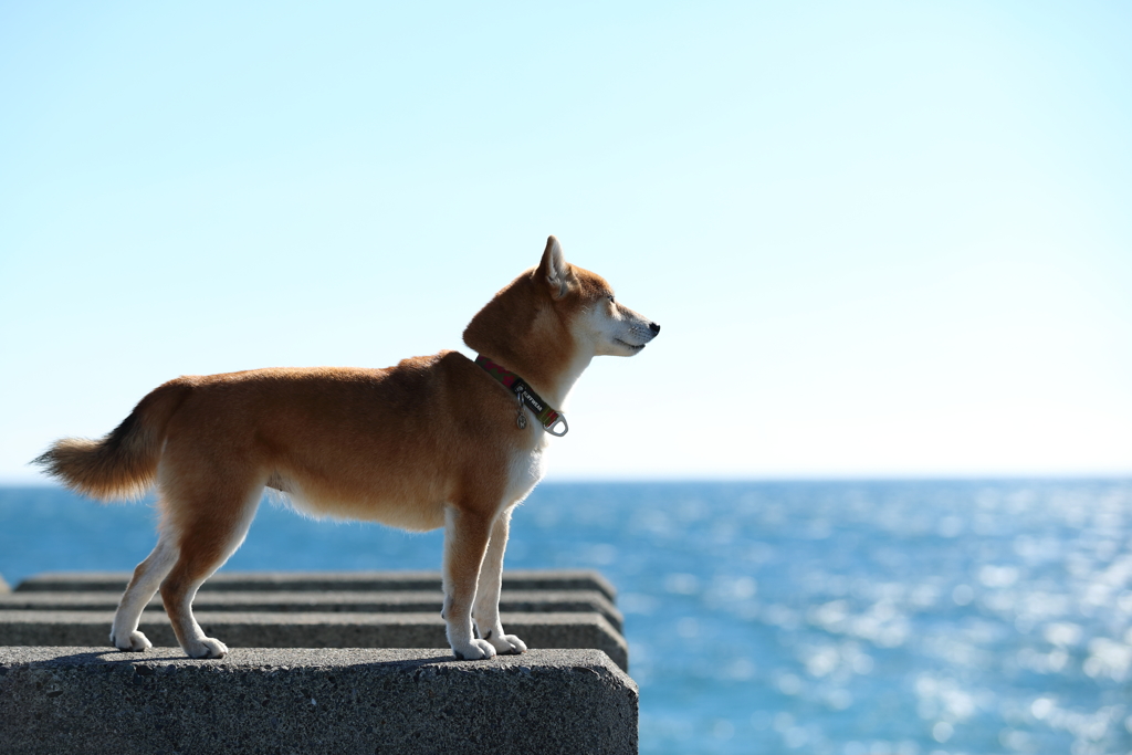 海風を感じて