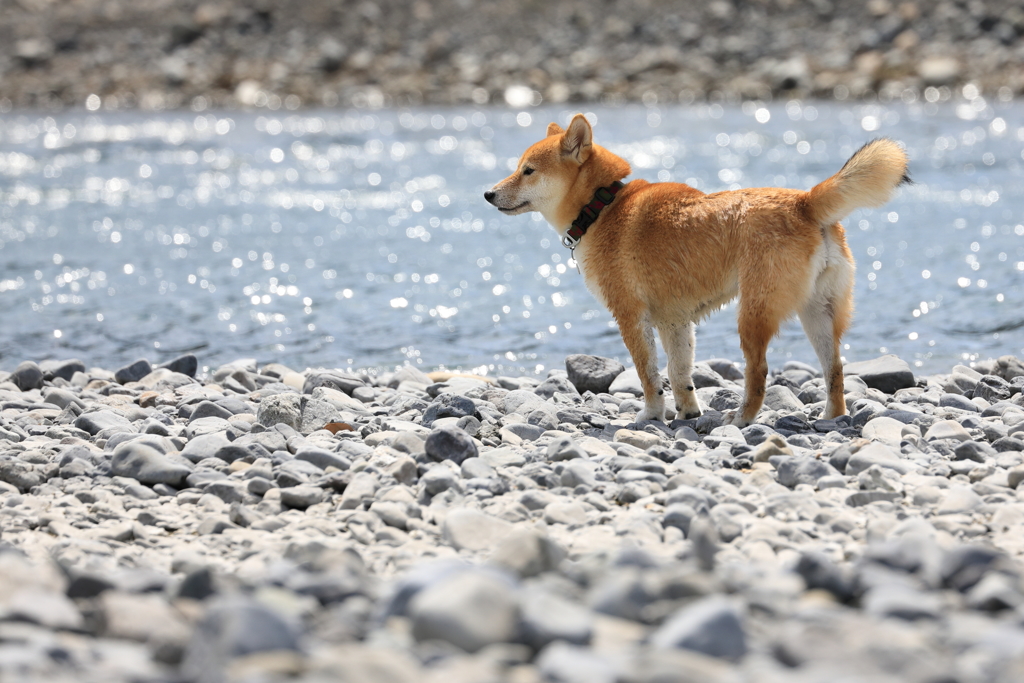 夏は終わらない1