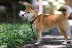 帰ろうね