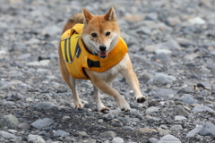 楽しい顔2