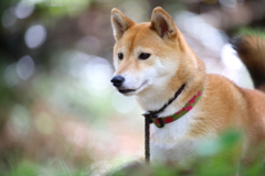 なにかいたかな？