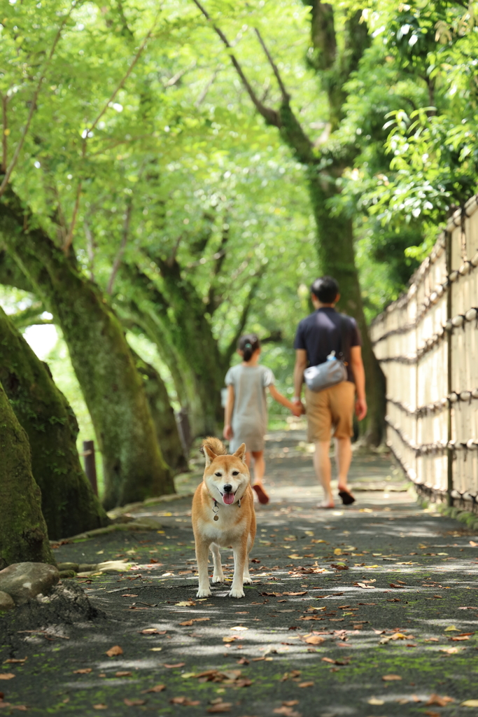 手をつないで