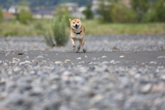 連射2