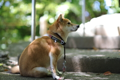 退屈だなぁ…