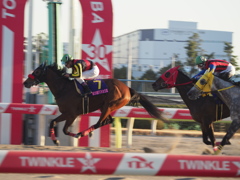 ゴールにＦＬＹ