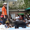 サンシャイン水族館でのアシカショー