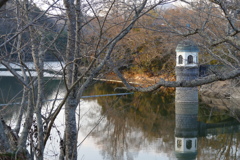 池
