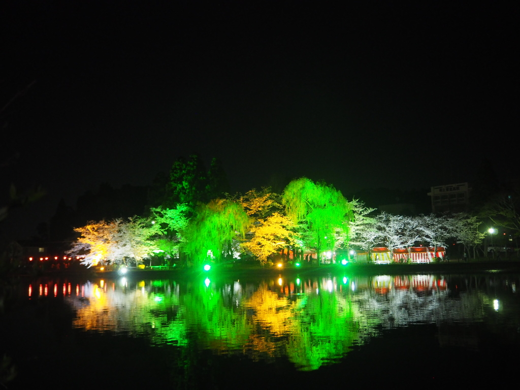 夜桜